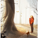 Illustration for article titled The art of living alone